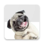 Logo of Stickers Pugs android Application 